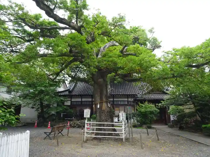 生根神社の自然