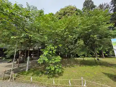 伊佐須美神社(福島県)