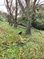 白狐山光星寺(山形県)