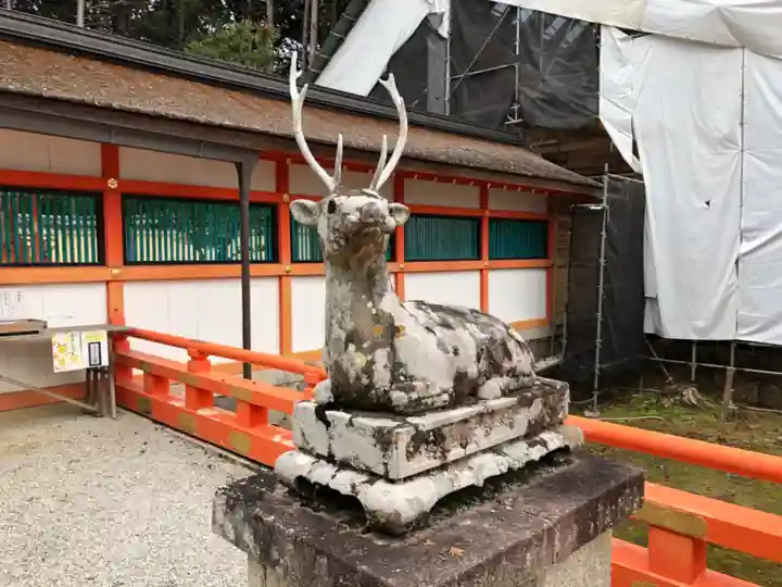 大原野神社の狛犬