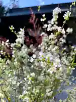 滑川神社 - 仕事と子どもの守り神(福島県)