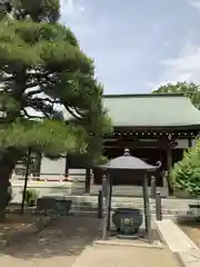 浄土宗　浄音寺(埼玉県)