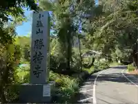 勝持寺(花の寺)(京都府)