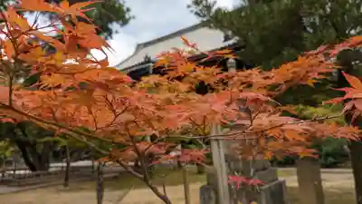真正極楽寺(真如堂)(京都府)