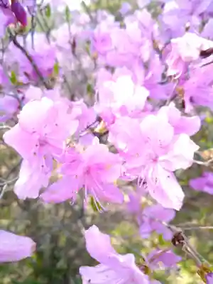 牛窓神社の自然