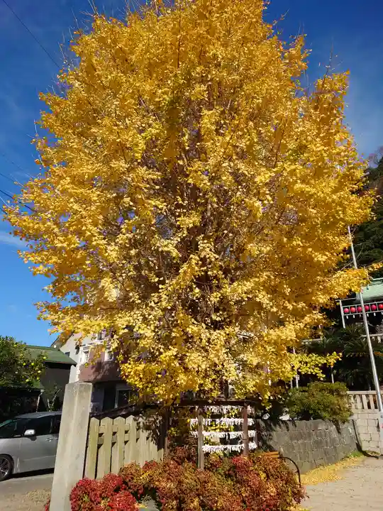 叶神社(東叶神社)(神奈川県)