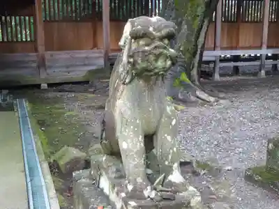 蠶養國神社の狛犬