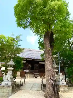 神館神社の本殿・本堂
