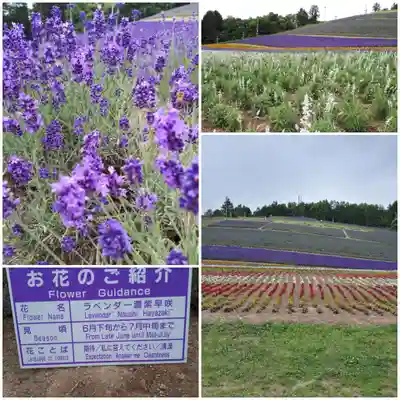 中富良野神社(北海道)