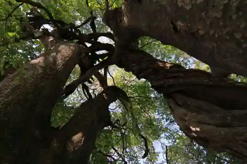 藤稲荷神社の庭園