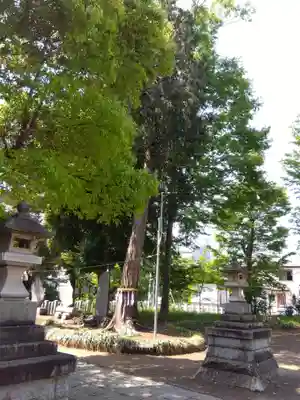 熊野神社(埼玉県)