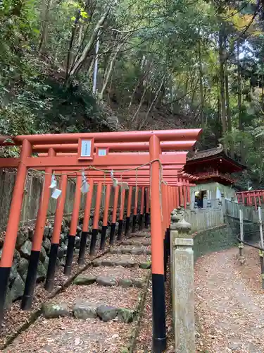 狸谷山不動院の鳥居