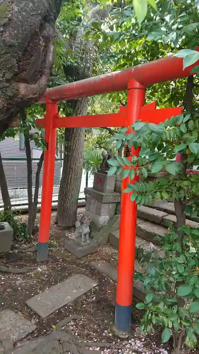 本郷氷川神社の鳥居