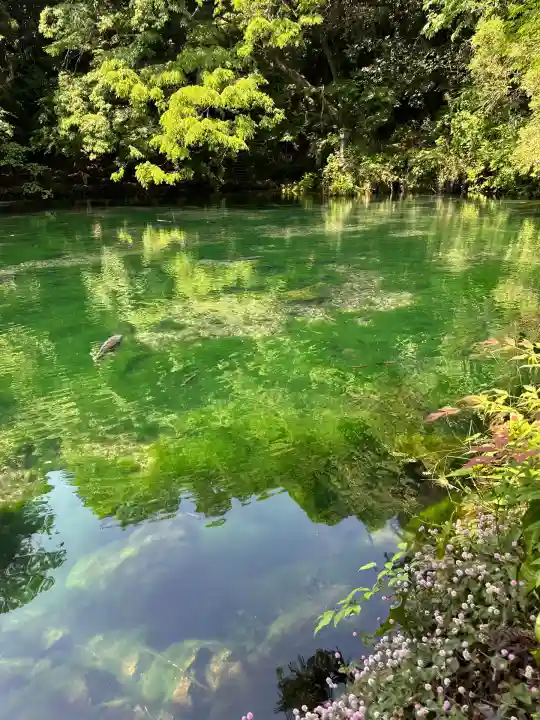 涌釜神社(栃木県)