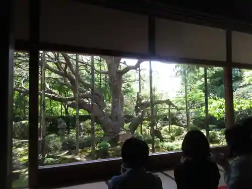 宝泉院の庭園