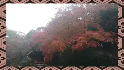 水澤寺(水澤観世音)(群馬県)