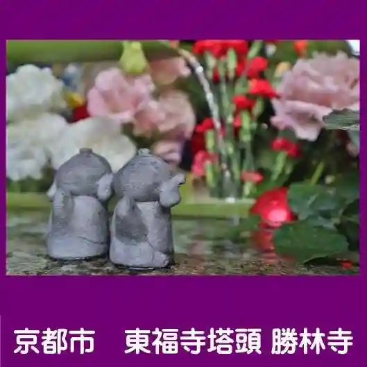 勝林寺(京都府)
