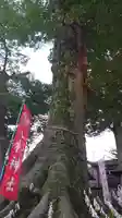 八枝神社の自然