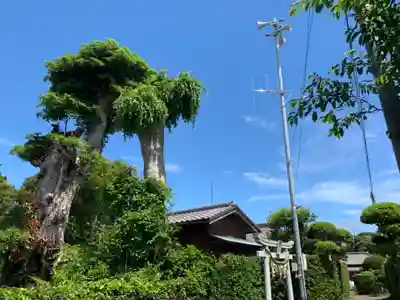 大杉神社のその他建物