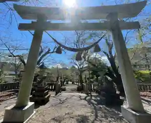 天鷹神社の鳥居(2025年11月28日(金) 18時22分00秒投稿)