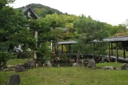 高台寺（高台寿聖禅寺・高臺寺）の庭園