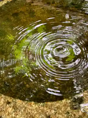 一條殿 新善光寺(京都府)