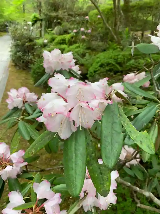 徳善院明王密寺の自然