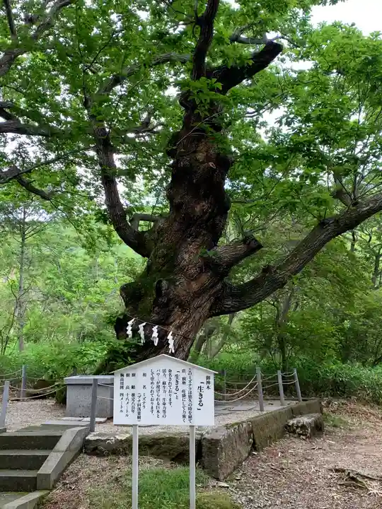那須温泉神社の自然