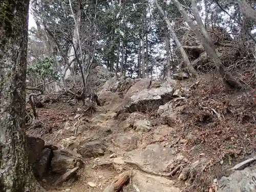 武蔵御嶽神社奥の院の自然