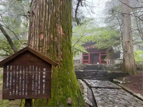 瀧尾神社（日光二荒山神社別宮）(栃木県)