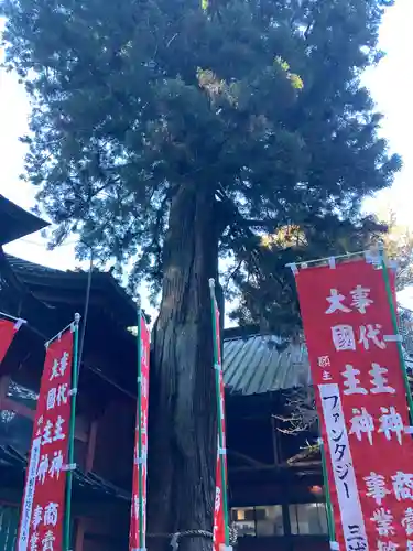 北口本宮冨士浅間神社の自然