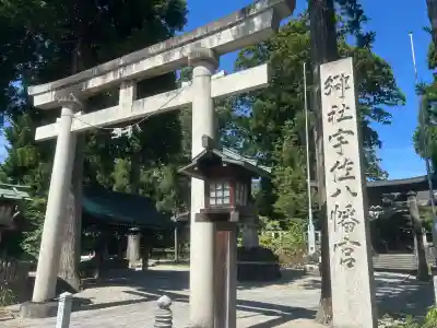 宇佐八幡宮の{uncategorized: "未分類", other: "その他", undefined: "問題あり", building: "その他建物", grave: "お墓", sacred_gate: "鳥居", guardian: "狛犬", statue: "像", buddha: "仏像", history: "歴史", nature: "自然", garden: "庭園", animal: "動物", pagoda: "塔", temizu: "手水舎", mountain_gate: "山門・神門", sanctuary: "本殿・本堂", subordinate: "末社・摂社", art: "芸術", scenery: "景色", jizo: "地蔵", ema: "絵馬", goshuin: "御朱印", omikuji: "おみくじ", items: "授与品その他", amulet: "お守り", goshuincho: "御朱印帳", eats: "食事", festival: "お祭り", votive_dance: "神楽", shichigosan: "七五三参", wedding: "結婚式", experience: "体験その他", initially: "初詣", around: "周辺", anti_infection: "感染症対策"}
