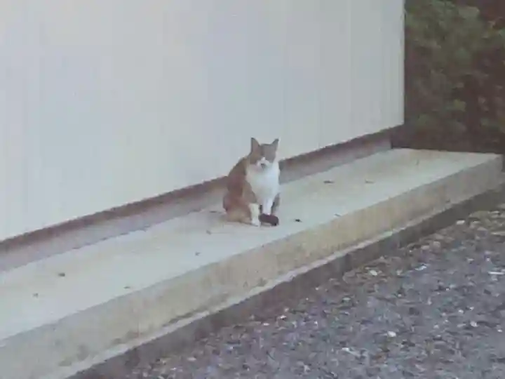 玉野御嶽神社の動物