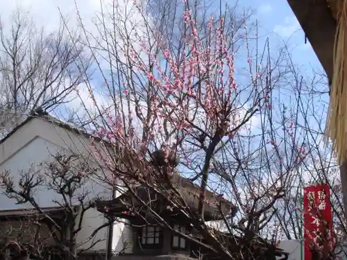 水火天満宮の自然