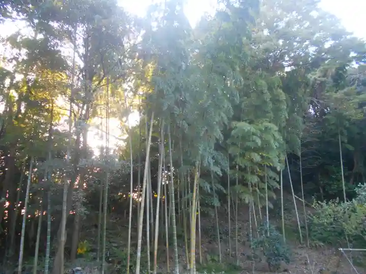 妙伝寺(妙傳寺)の自然