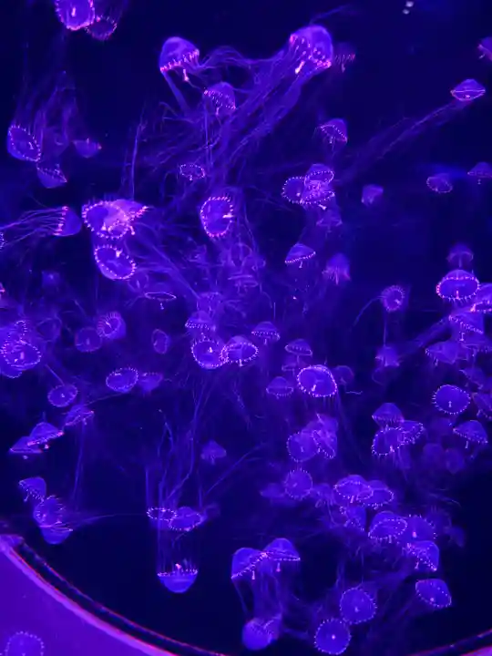 大洗磯前神社(茨城県)