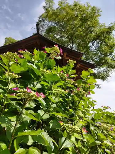 金乗院放光寺の末社・摂社