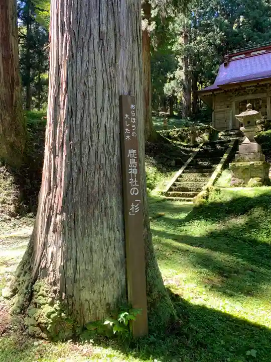 鹿島神社の自然