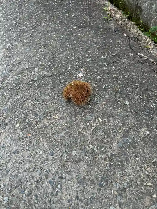 高皇産神社(兵庫県)
