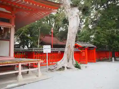 香椎宮のその他建物