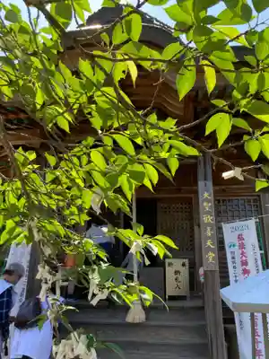 童学寺の本殿・本堂