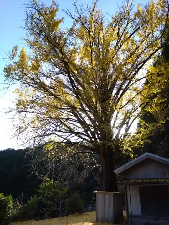 慈徳院(愛知県)