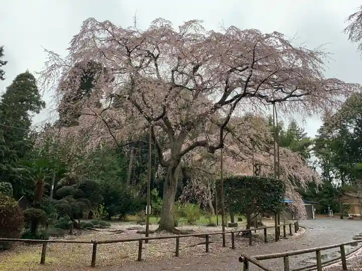 長光寺(千葉県)