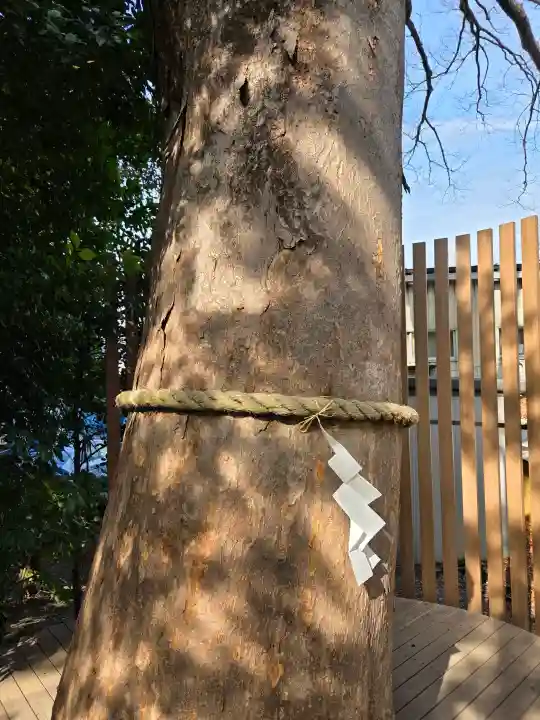 鎮守氷川神社の{uncategorized: "未分類", other: "その他", undefined: "問題あり", building: "その他建物", grave: "お墓", sacred_gate: "鳥居", guardian: "狛犬", statue: "像", buddha: "仏像", history: "歴史", nature: "自然", garden: "庭園", animal: "動物", pagoda: "塔", temizu: "手水舎", mountain_gate: "山門・神門", sanctuary: "本殿・本堂", subordinate: "末社・摂社", art: "芸術", scenery: "景色", jizo: "地蔵", ema: "絵馬", goshuin: "御朱印", omikuji: "おみくじ", items: "授与品その他", amulet: "お守り", goshuincho: "御朱印帳", eats: "食事", festival: "お祭り", votive_dance: "神楽", shichigosan: "七五三参", wedding: "結婚式", experience: "体験その他", initially: "初詣", around: "周辺", anti_infection: "感染症対策"}