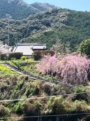 十輪寺(和歌山県)