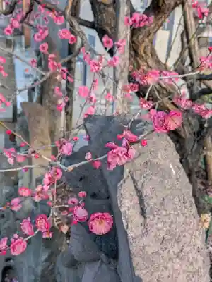 成願寺(東京都)