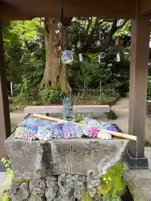 二本松寺(茨城県)