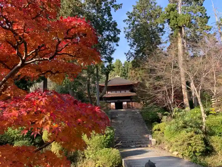 園城寺(三井寺)のその他建物