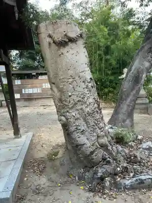 甲子園八幡神社(兵庫県)