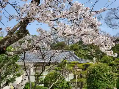上野神社の自然